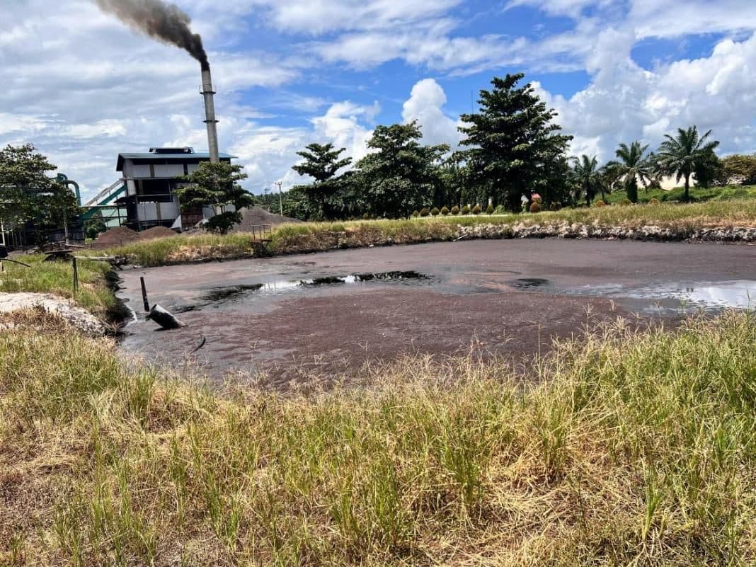 Kolam 1 IPAL PKS di Kotim, Kalteng sebelum normalisasi, survei Maret 2024