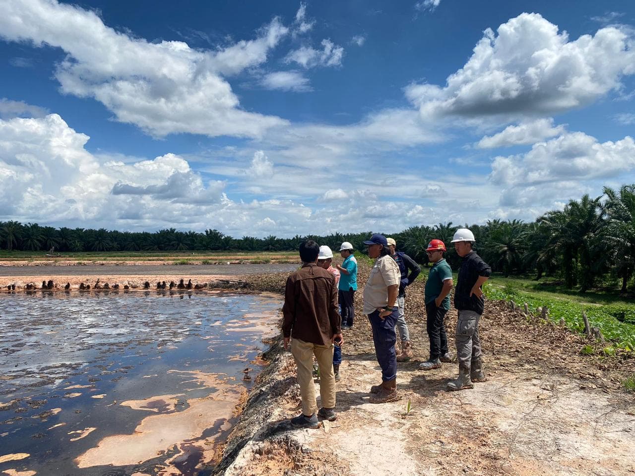 Tim survei Borneo Energi Biomas di tanggul kolam IPAL